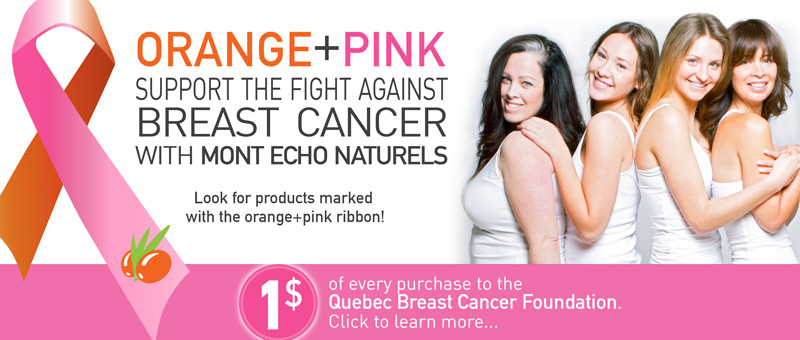banner_breast_cancer_en_small